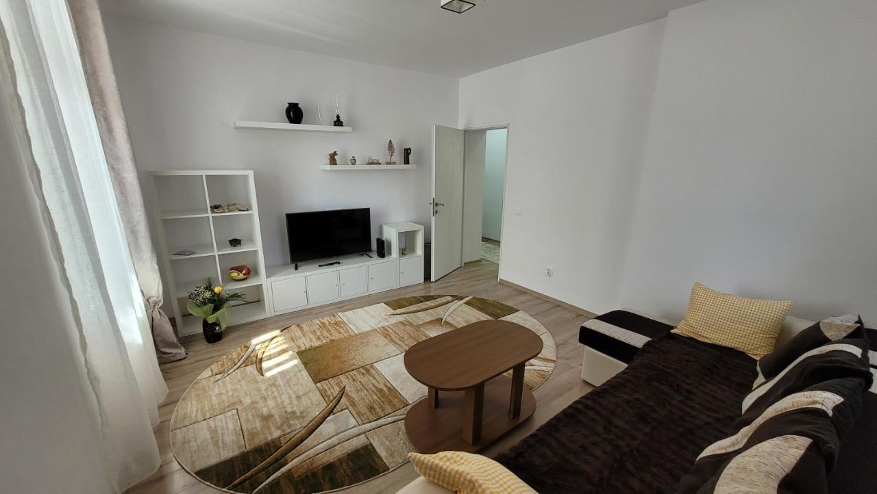 Andy Apartment Petrosani